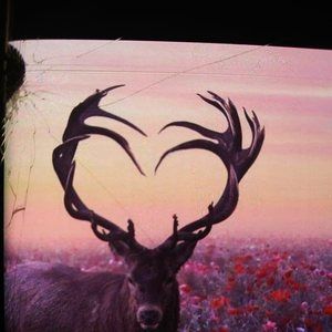 Meet your Posher, Edwardpamela